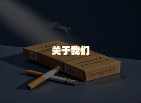 关于蓝帝网